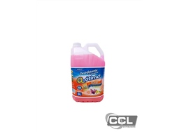 Desinfetante Q-�timo Floral 5L